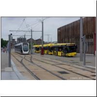 2025-05-27 T1 Standard 5116,Bus.jpg